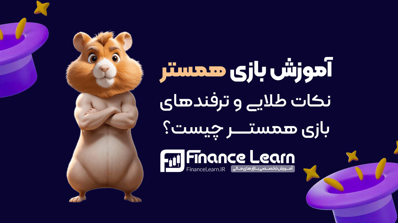 آموزش بازی همستر